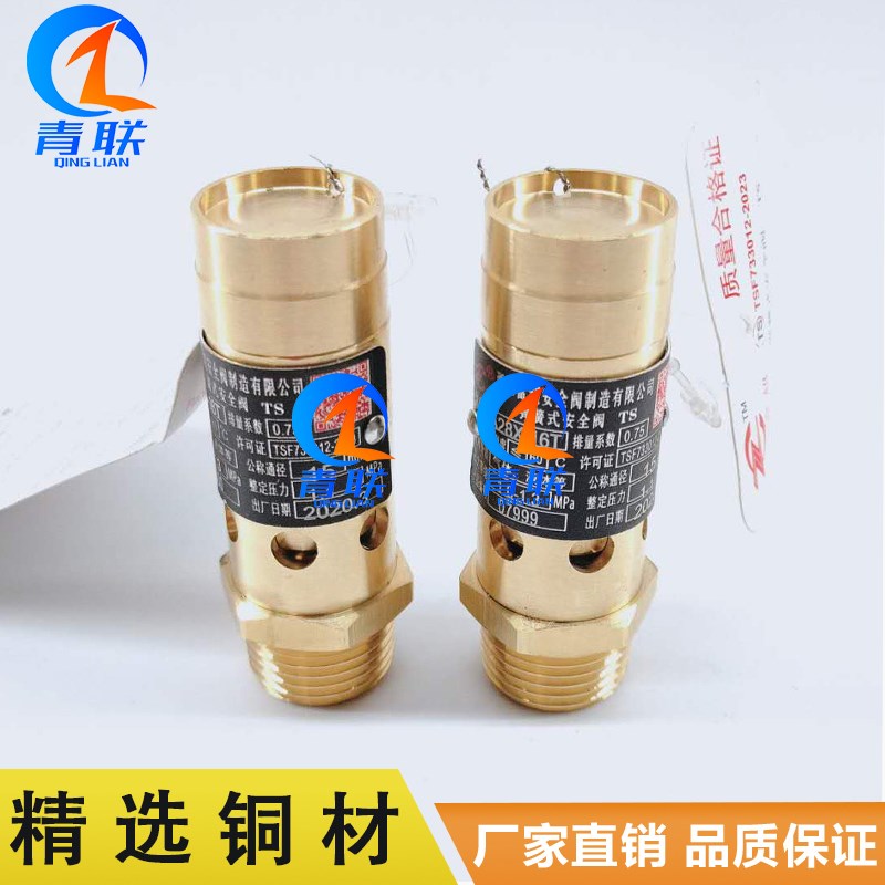 A28X-16T全铜全启式螺杆机空压机专用安全阀弹簧式空压机安全阀