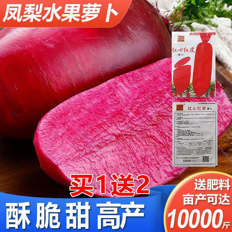 凤梨水果萝卜种子农田菜地播高产脆甜多汁红皮萝卜种子红心萝卜籽