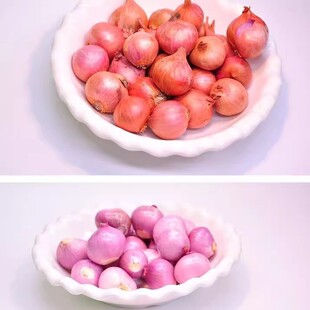 正宗东北特产小毛葱葱头珠葱农家毛葱批发大个新鲜产地直发鬼子葱