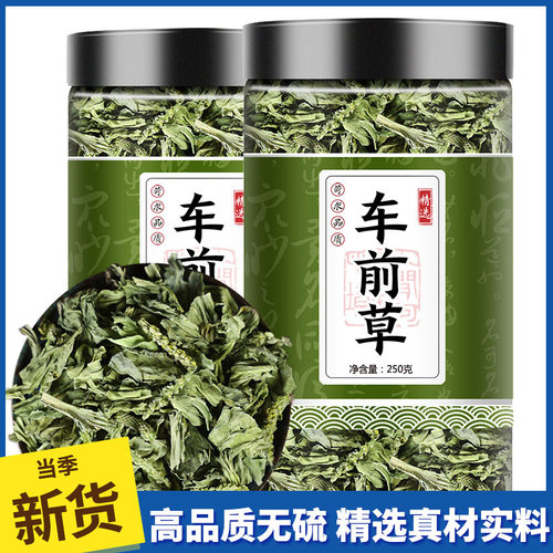 车前草500克g中药材官方旗舰店干货新鲜袋泡茶茶包野生猫爪草泡水