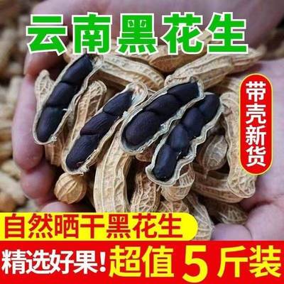 新货云南普洱黑皮花生带壳生的富硒黑花生黑花生特产休闲零食甘甜
