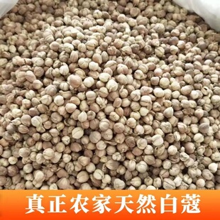 正宗白蔻 无硫纯干白豆蔻 食用中药材家用白扣 香料调料