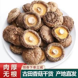 古田香菇干货500g特产级农家精选煲汤肉厚无根干蘑菇菌菇冬菇散装