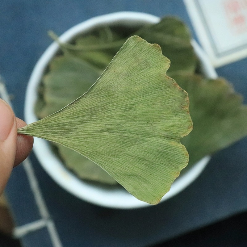 银杏叶片茶特银杏叶中老年银杏叶叶银杏干银杏叶子白果树叶新货