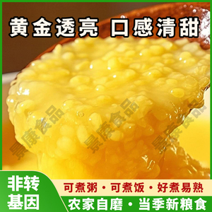 河南特产玉米糁农家自产小碴子玉米珍子玉米渣子粥中细粒包谷糁子