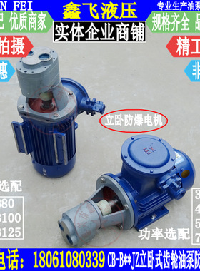CB-B80JZ B100JZ B125JZ立卧式型齿轮油泵防爆电机组