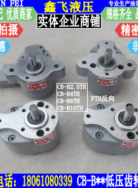 CB-B10TH CB-B2.5TH CB-B4TH CB-B6TH B16TH B20TH/FTH齿轮油泵头