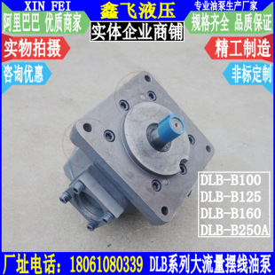 B250大流量润滑摆线齿轮油泵Y DLB B160 B125 B100
