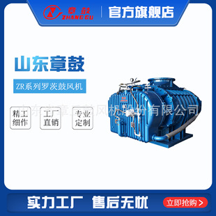 山东章鼓 罗茨鼓风机 ZR系列