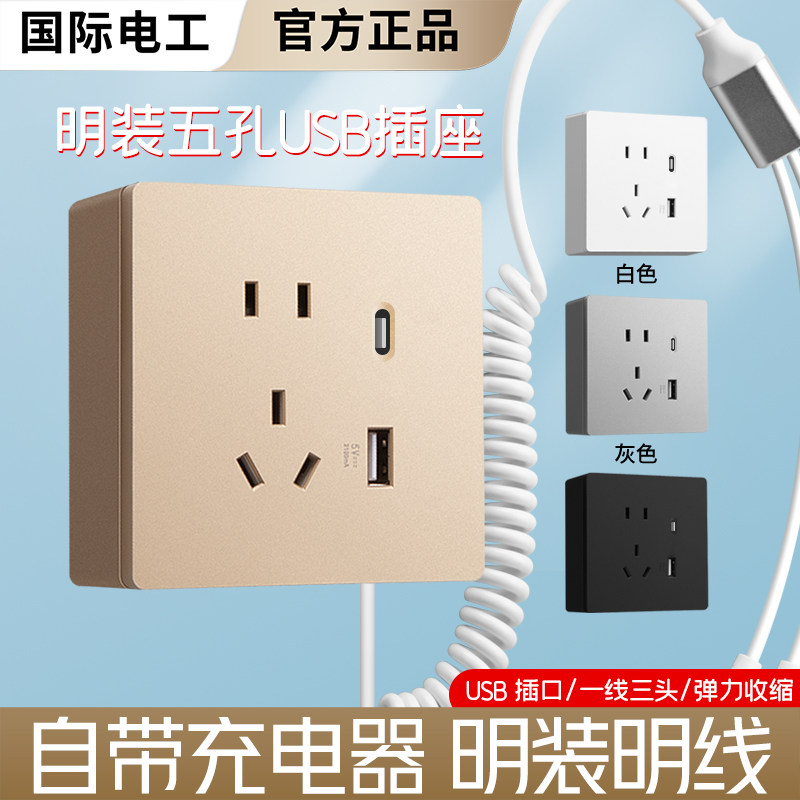 国际电工酒店民宿板充电五孔插座