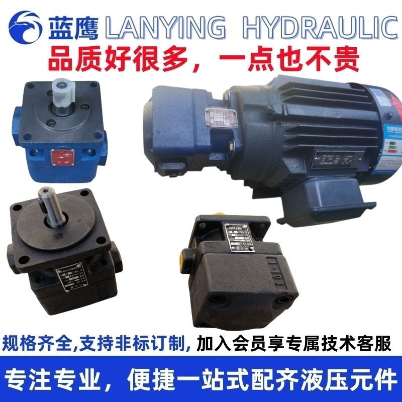 M7130平面磨床油泵YB1-100叶片泵杭州M7132 M7140磨床液压泵配件B