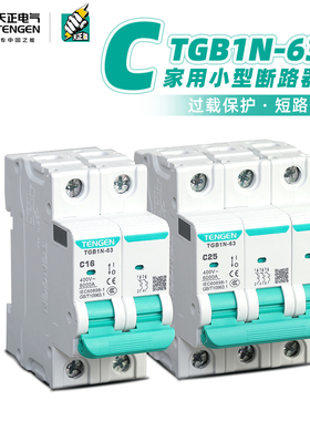 天正空气开关TGB1N-63A2P小型32A家用3P电闸保护器4P空开关断路器