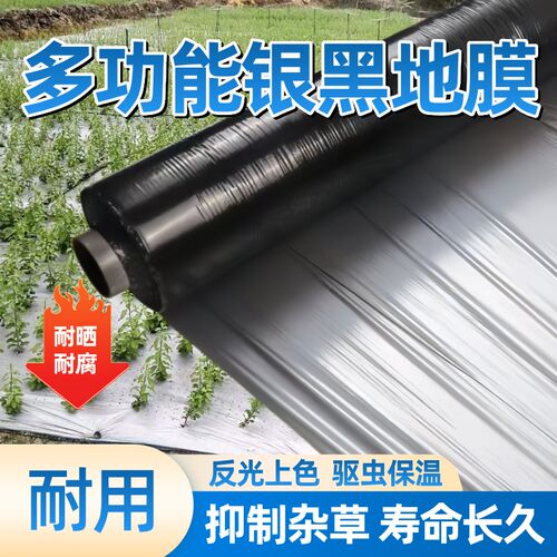 银黑双色地膜加厚果园蔬菜大棚反光保湿除草地膜大蒜草莓种菜薄膜