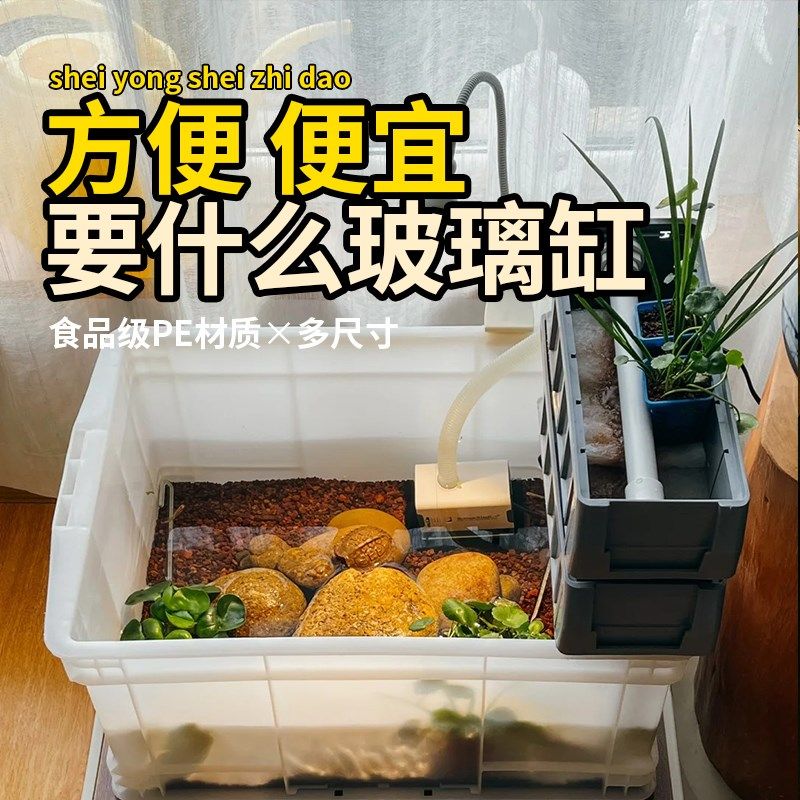 乌龟周转箱过滤箱养龟鱼缸养鱼加厚塑料白色龟箱龟缸长方形专用箱,宠物/宠物食品及用品,桌面缸,淘宝优惠券,粉丝福利购,淘宝优惠卷