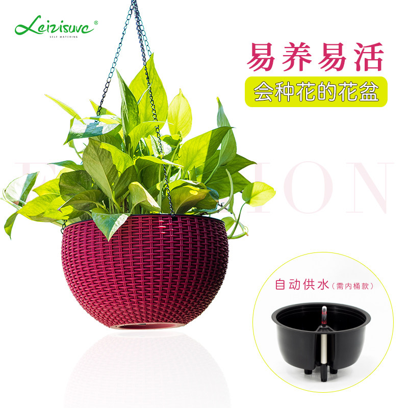 自动吸水多肉肉花盆垂吊篮吊兰悬挂懒人创意塑料绿萝箩特大号花盆