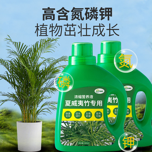 夏威夷竹肥料盆栽复合专用肥散尾葵浓缩营养液绿植园艺植物室内用
