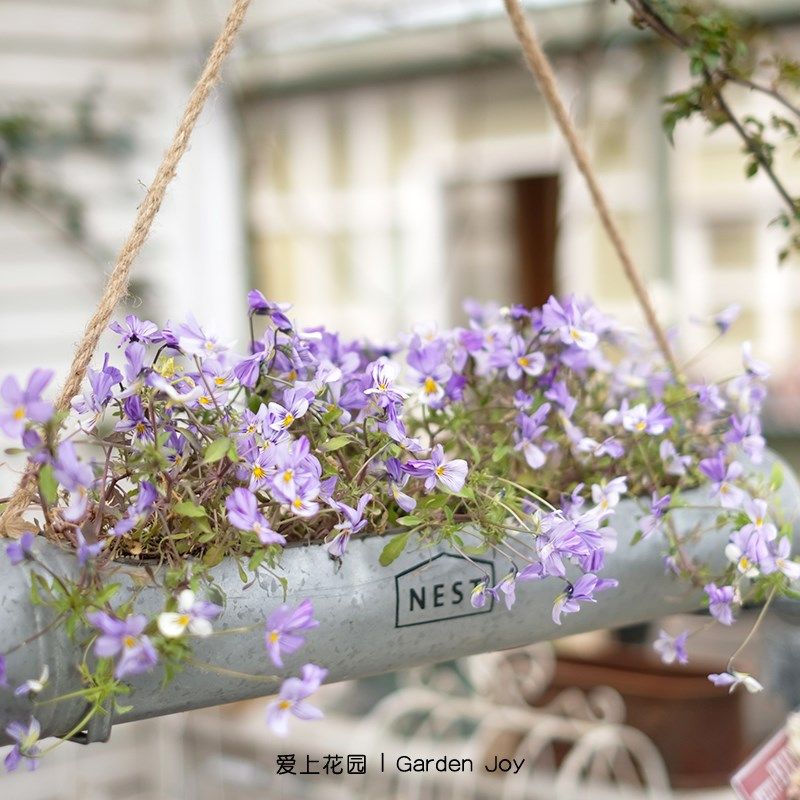 爱上花园 室内阳台装饰铁艺做旧铁皮花盒长圆形邮筒花盆花桶nest,鲜花速递/花卉仿真/绿植园艺,花盆,淘宝优惠券,粉丝福利购,淘宝优惠卷