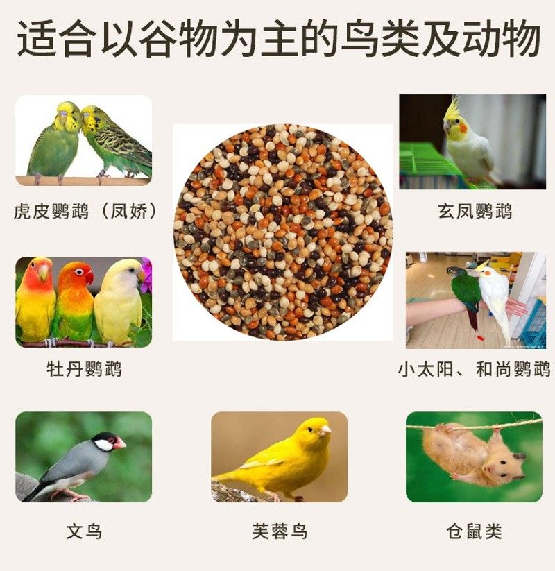 5斤 黑.白.红.黄.青 黍子 5色混合 虎皮牡丹鹦鹉鸟食鸟粮饲料包邮,宠物/宠物食品及用品,鸟食,淘宝优惠券,粉丝福利购,淘宝优惠卷