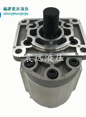 合/肥齿/轮泵CBN-FL540FTOV50/F63-BFP/BFPL/BFH/BFH原装