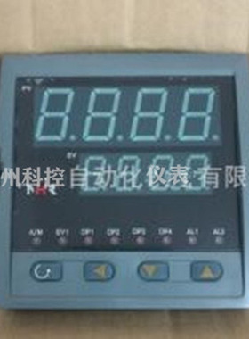 NHR-5310B-14/X-0/X/2/X/1P-A NHR-5310F-14/X-0/X/2/X/PID控制仪