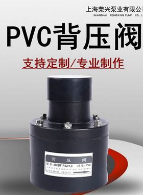 DN6-DN150PVC背压阀 内螺纹连接背压阀 RXBF-P25/1.0