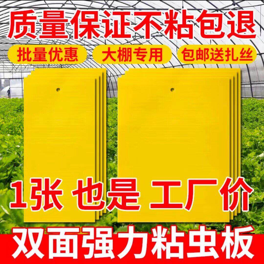 黄板双面粘虫板小飞虫蓟马灭杀神器大棚灭苍蚊贴纸果园果蝇诱捕器