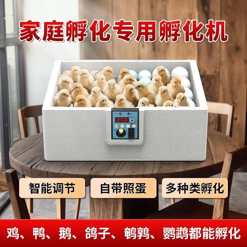 全自动孵化机家用型鸡鸭鹅孵化器鸽子鸟蛋小型孵蛋箱