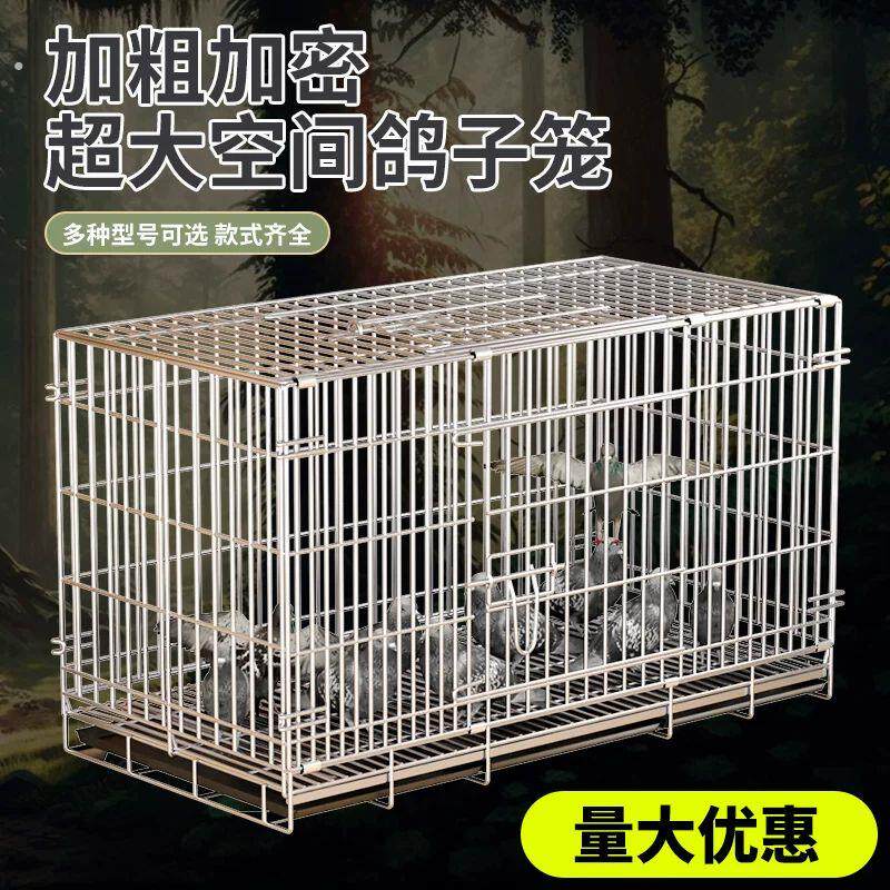 鸽子笼大空间繁殖笼鸟笼鸽子笼子不锈钢色大号加密配对家用养殖笼