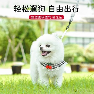 狗狗猫咪牵引绳遛狗背心小型犬链子外出背带幼犬挣脱调节宠物用品