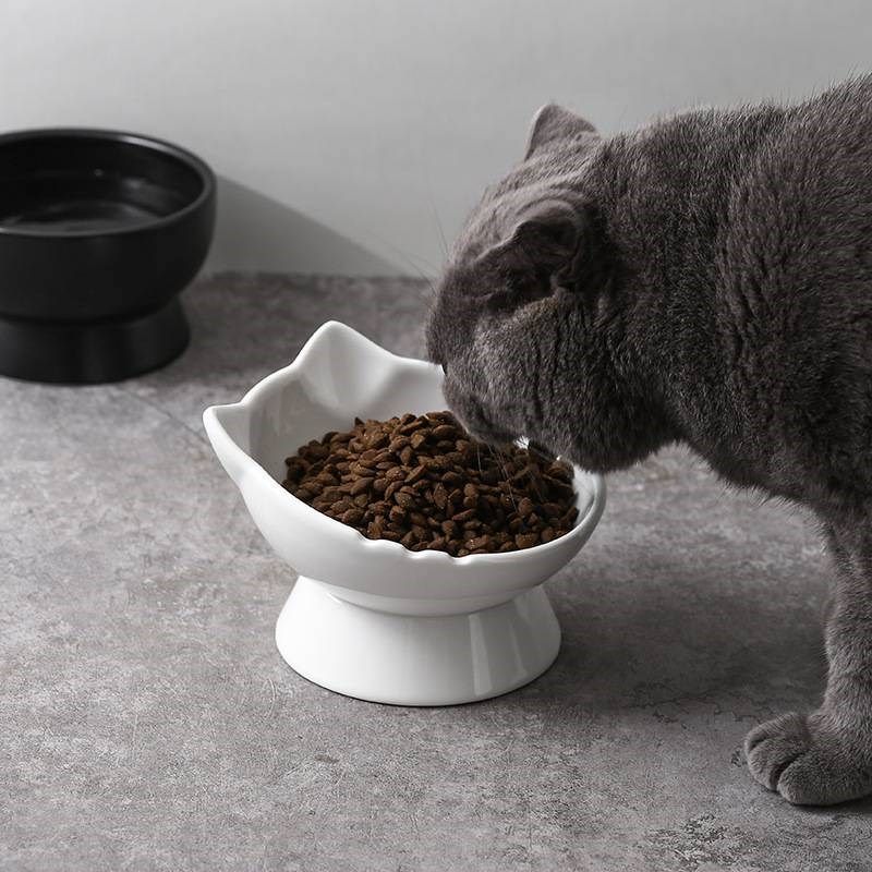 猫碗陶瓷釉下彩猫咪食盆狗碗宠物专用高脚斜口吃粮饮水黑色碗护颈,宠物/宠物食品及用品,宠物智能碗,淘宝优惠券,粉丝福利购,淘宝优惠卷