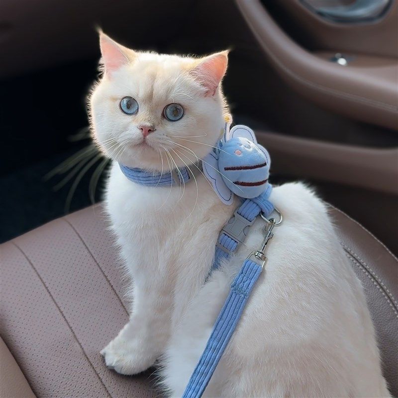 猫咪牵引绳外出防挣脱工字不勒专用猫绳小型犬遛狗遛猫宠物牵狗绳,宠物/宠物食品及用品,猫牵引绳,淘宝优惠券,粉丝福利购,淘宝优惠卷