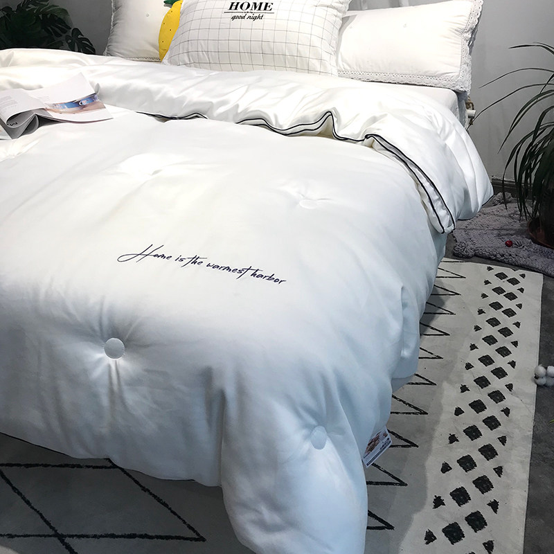 超柔软云绒被芯加厚保暖冬被子单人春秋被双人子母被二合一拉链款