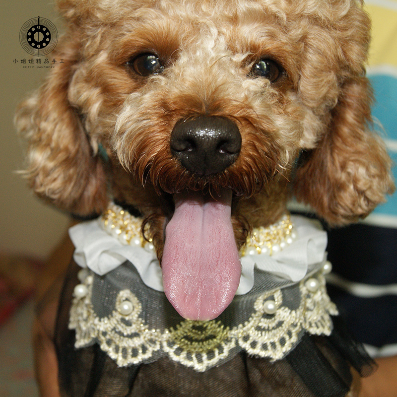 狗狗口水巾狗脖小型中型犬柯基泰迪萨摩耶博美可爱蕾丝公主围巾