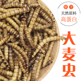 龙鱼饲料金龙鱼银龙鱼饲料上浮型鱼食大麦虫面包虫干金鱼饲料龟粮