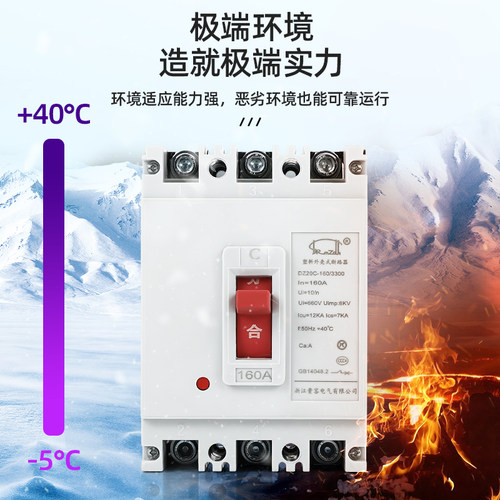 空气开关DZ20Y-100A/3300 160 225 400A 630 DZ20C-250塑壳断路器