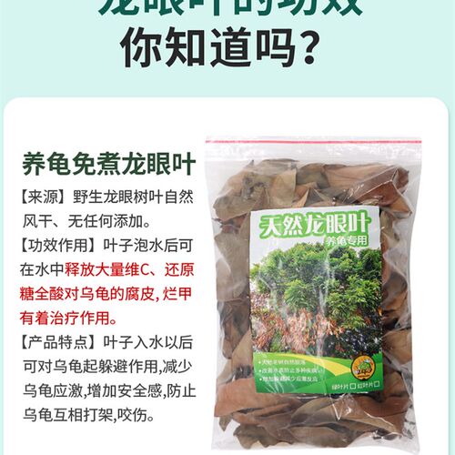 乌龟龙眼叶养龟免煮龟用大片鱼缸造景乌龟腐皮腐甲药腐皮烂身灵