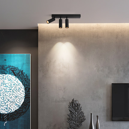 明装射灯双头led吸顶筒灯可调角度家用客厅无主灯三头防眩轨道灯