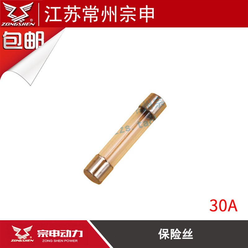 保险丝 摩托车 三轮车 电动车保险丝 管状保险丝 包邮9.9元发10个