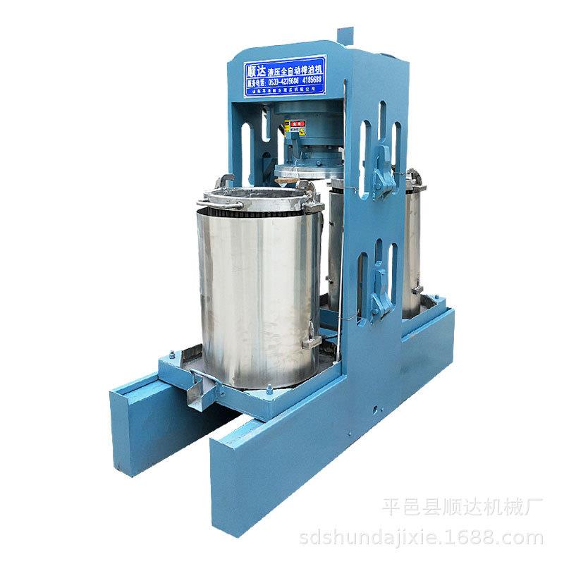 家用花生榨油机全自动大豆冷榨油机菜籽榨油机油坊用设备