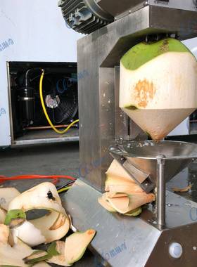 r印度全自动椰子去皮机商用椰青刨皮设备高速青椰快速刮皮机