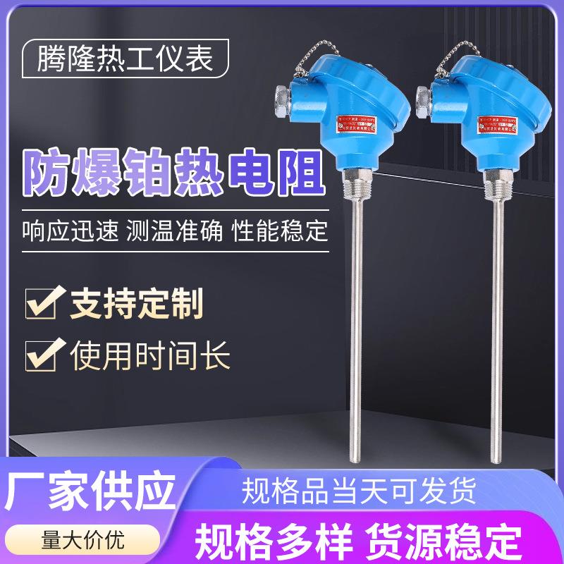 防爆铂热电阻温度传感器WZPWRN一体化探头防爆热电阻