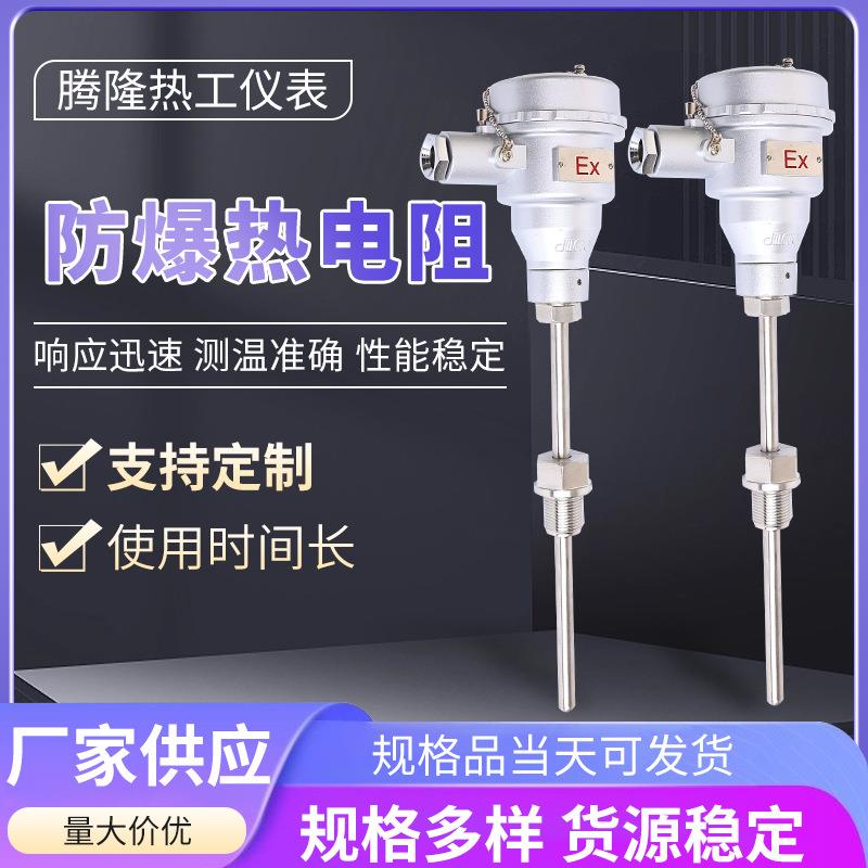 防爆铂热电阻温度传感器电伴热带用防爆PT100铂热电阻
