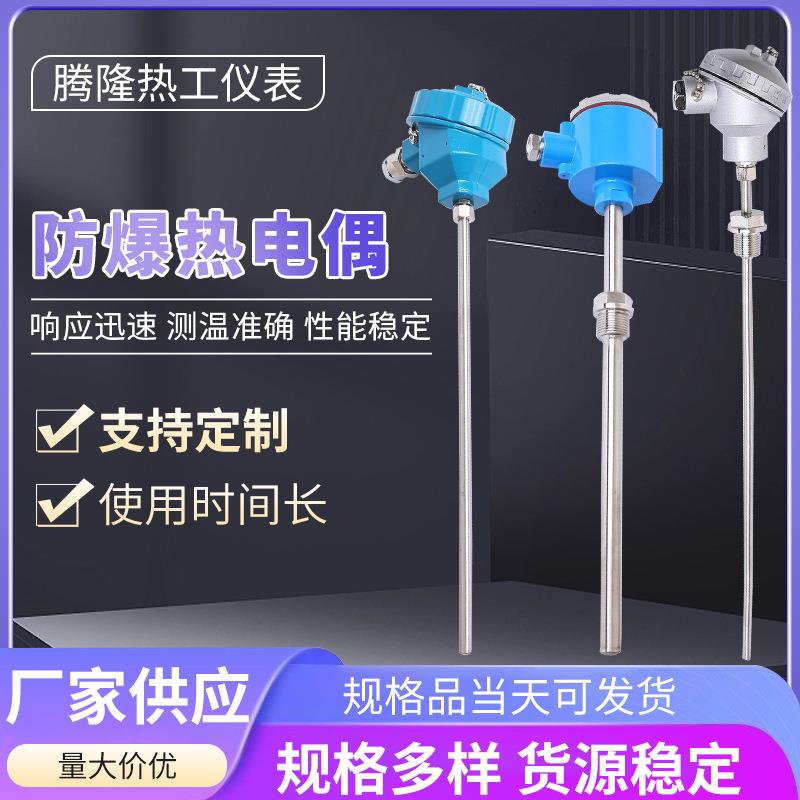 防爆热电偶PT100温度传感器K型防爆热电偶WRNK-240