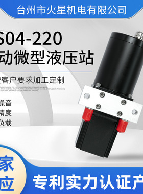 直供直流液压站小型液压动电动微型液压站防水船用液压站HS04-220