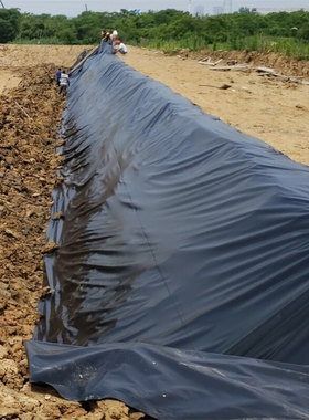 鱼塘 藕池人工湖河道防渗膜水库蓄水池防渗膜屋顶花园黑色土工膜