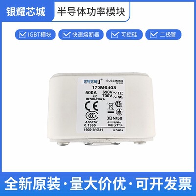 170M4414     170M7062高压户外熔断器 保险丝 巴斯曼