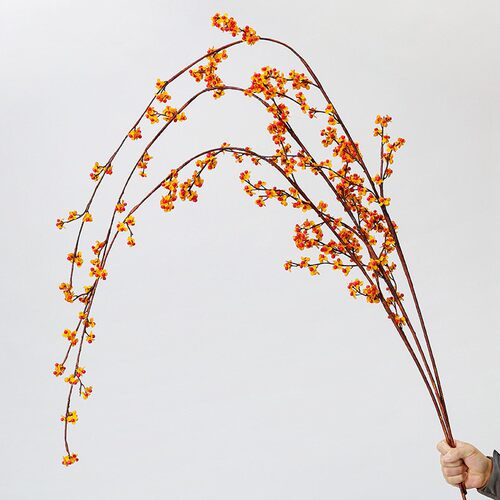 仿真下垂南蛇藤红果浆果枝客厅插花干花新中式侘寂风端花艺摆件