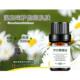 新款 薰香抗痘天然小瓶保按摩敏感 湿品单方摩洛哥洋甘菊精油5ml正