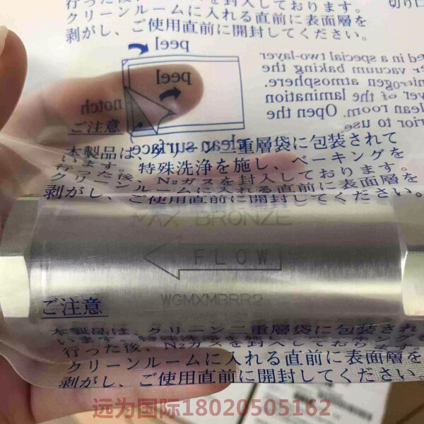 ENTEGRIS过滤器WG3NS2RR4