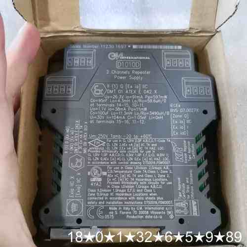 GMI基玛伊安全栅，型号D1010D，意大利。2通道